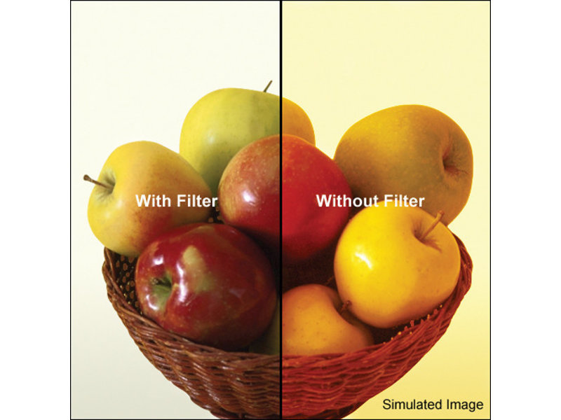 4X4 80A FILTER - 4480A