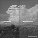 4X4 8 YELLOW 2 FILTER - 448Y2 -