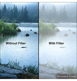 4X4 DOUBLE FOG 5 FILTER - 44DF5