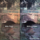 4X4 WARM PRO MIST 1 FILTER - 44WPM1 -