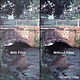 4X4 PRO-MIST 1 FILTER - 44PM1 -