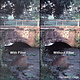 4X4 PRO-MIST 1/2 FILTER - 44PM12 -