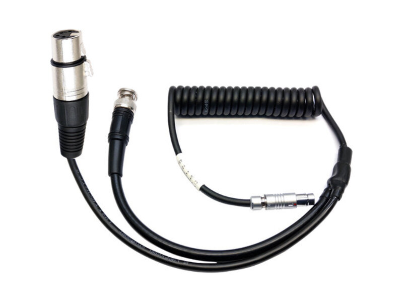 Fisher4 right angle to XLR4-M & BNC - Split Cable for Starlite