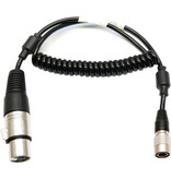 Hirose6 to XLR4-F - Power for Rainbow/Titan