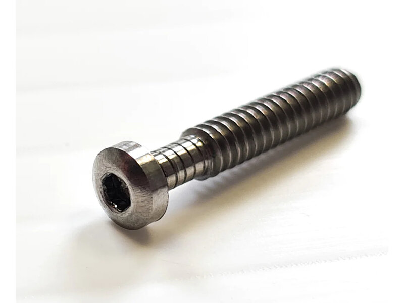 Steadicam Replacement trunnion screw, for the side pulley wheel of the Steadicam Volt.