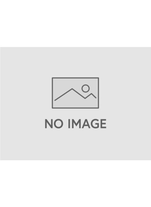 Steadicam M1 V-Lock Dual Battery Base 12/24V - M1-VLBASE