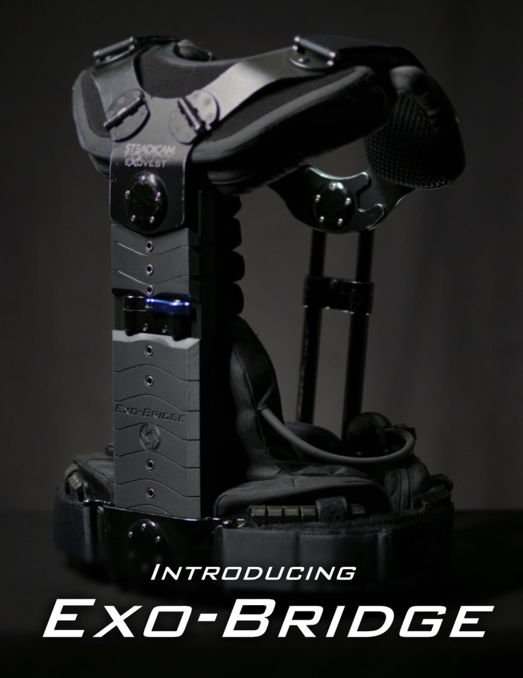 Exo-Bridge for your Exovest Feb. 2026