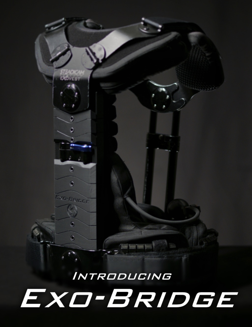 Exo-Bridge for your Exovest Feb. 2026