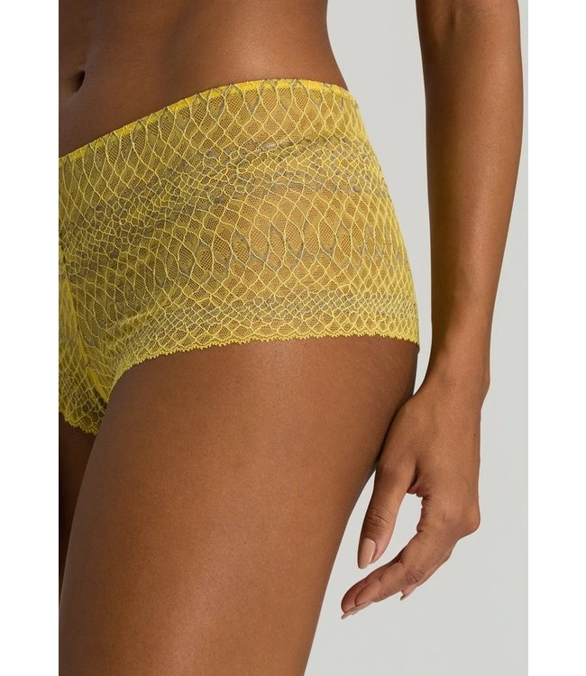 Hanro Thalie Brazilian Slip Animal Lace Fresia