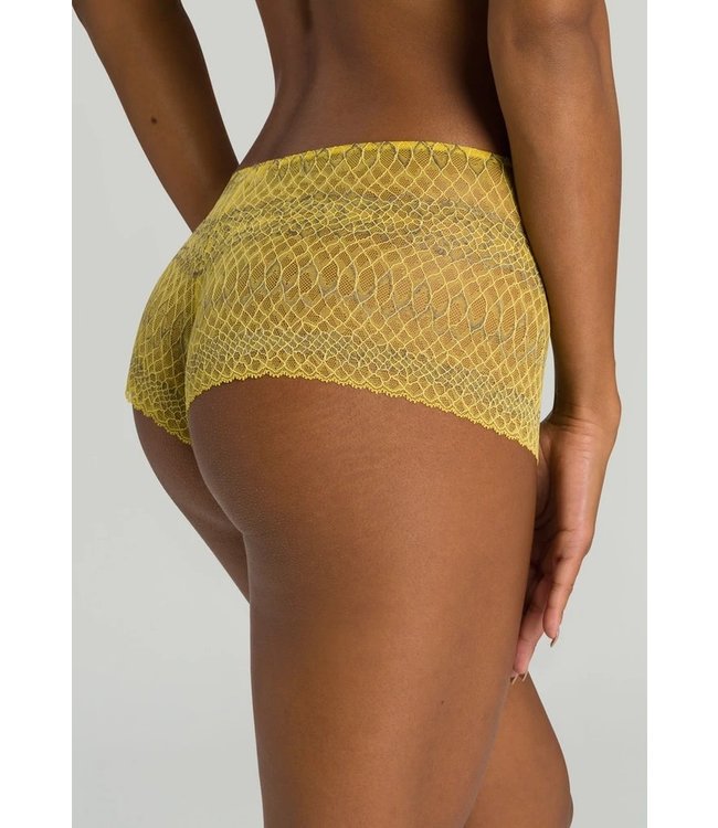 Hanro Thalie Brazilian Slip Animal Lace Fresia