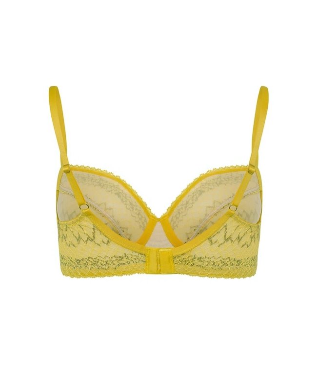 Hanro Thalie U/Wire Bra Animal Lace Fresia