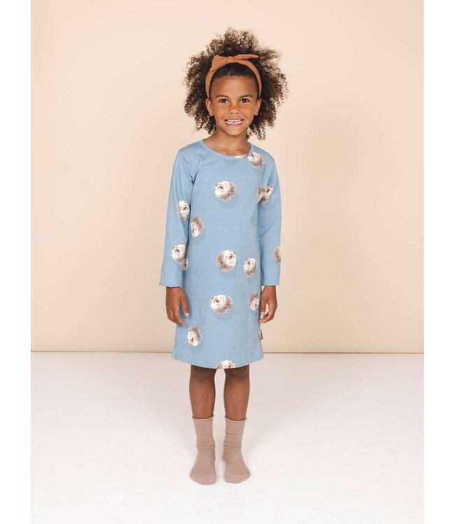 Snurk Hedgy Blue Long Sleeve Dress Kids