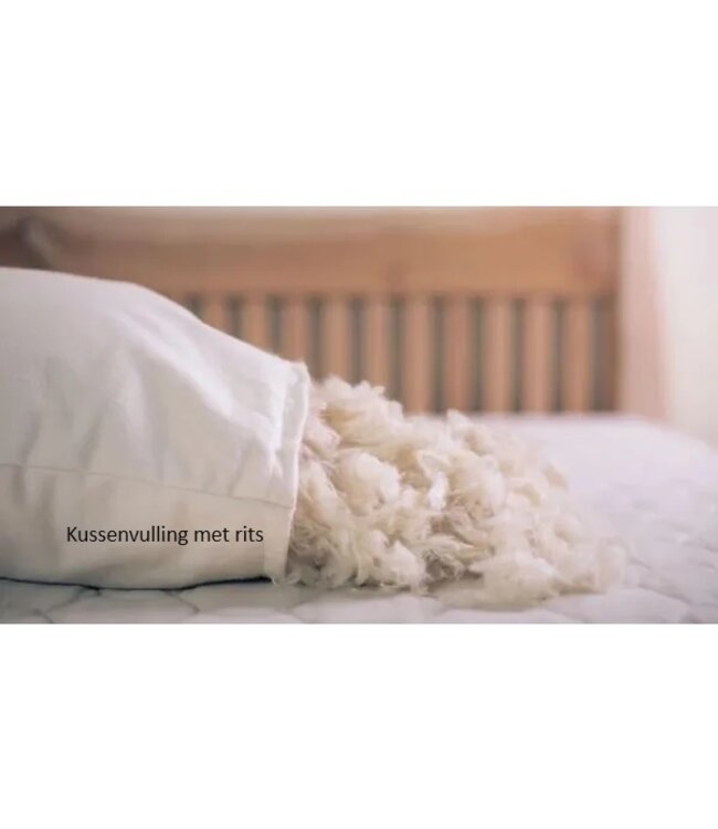 Kayori Sagano Kussen Bamboo 50x50 Met Kussenvulling