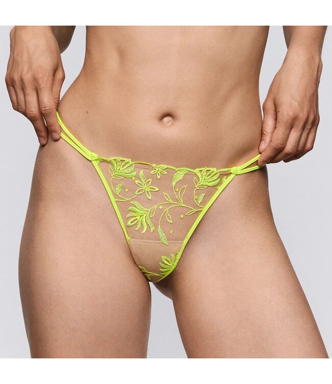 SARDA Shay Mini String Radiance