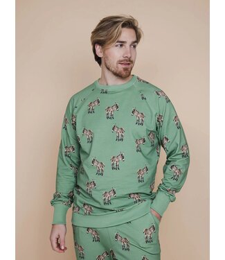 Snurk Donkeys Sweater Heren