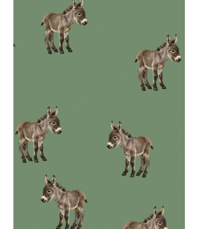 Snurk Donkeys Legging