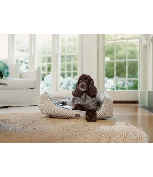 Lexington Company Striped Cotton Dog Bed Beige/White/Blue