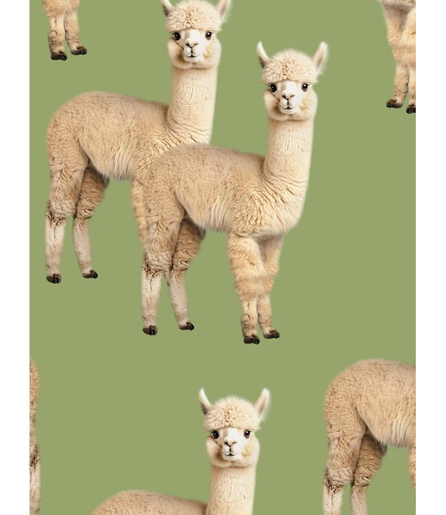 Snurk Alpaca Meadow Cropped T-Shirt Kids
