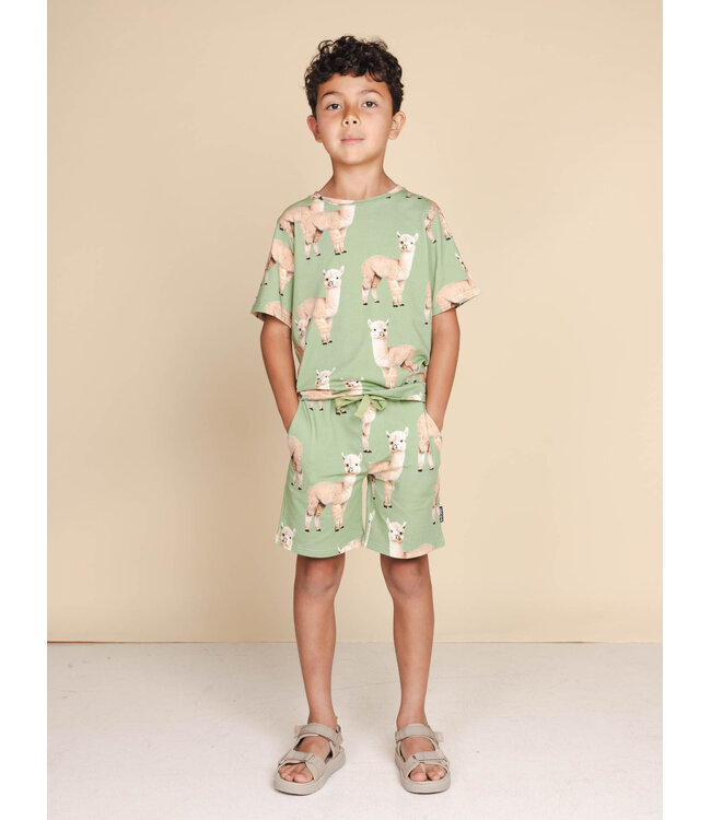 Snurk Alpaca Meadow T-Shirt Kids