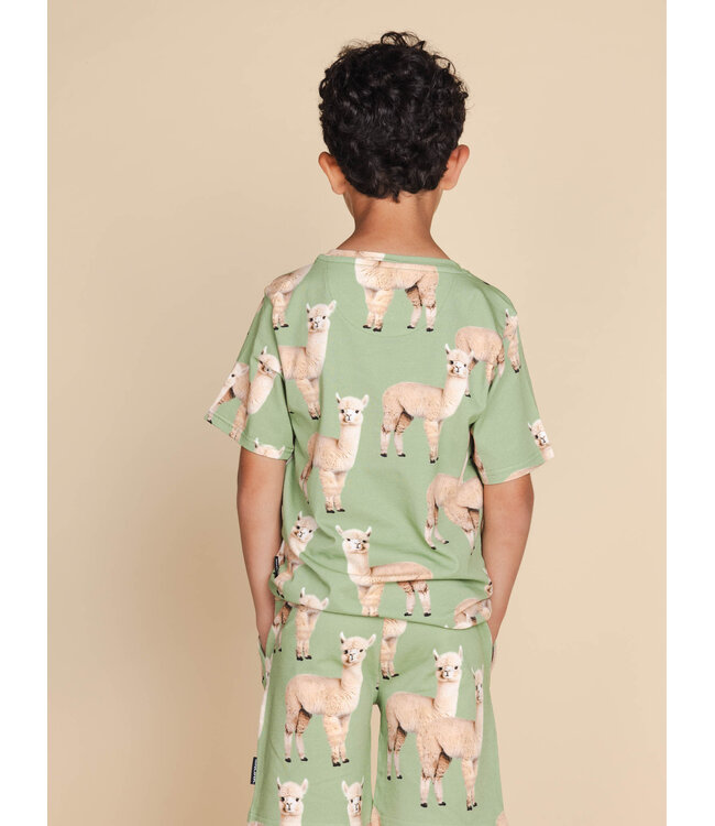 Snurk Alpaca Meadow T-Shirt Kids