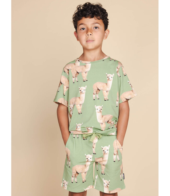 Snurk Alpaca Meadow T-Shirt Kids