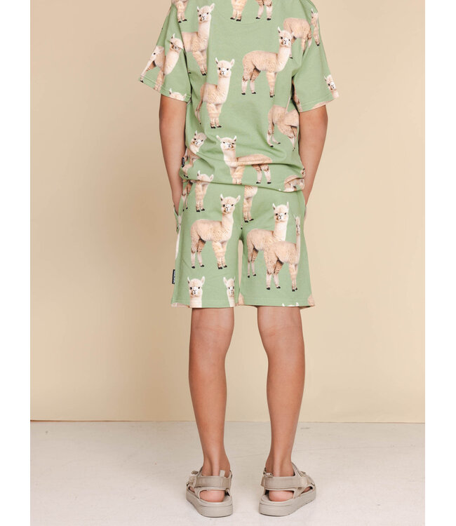 Snurk Alpaca Meadow T-Shirt Kids