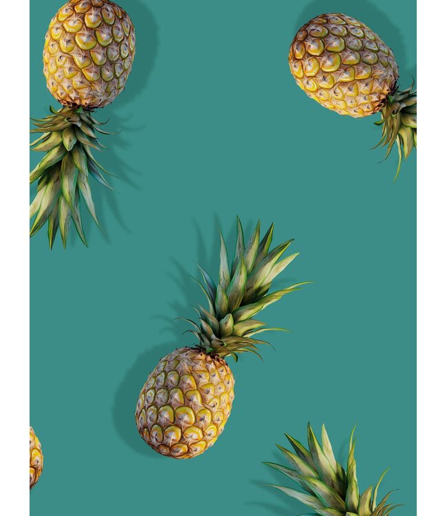 Snurk Pineapples Dress Women