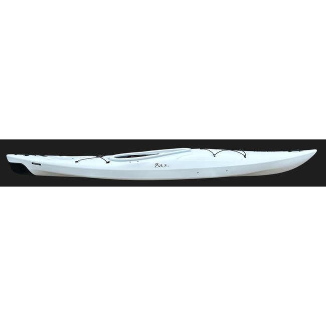 Seaflo Ripple 12 Basic