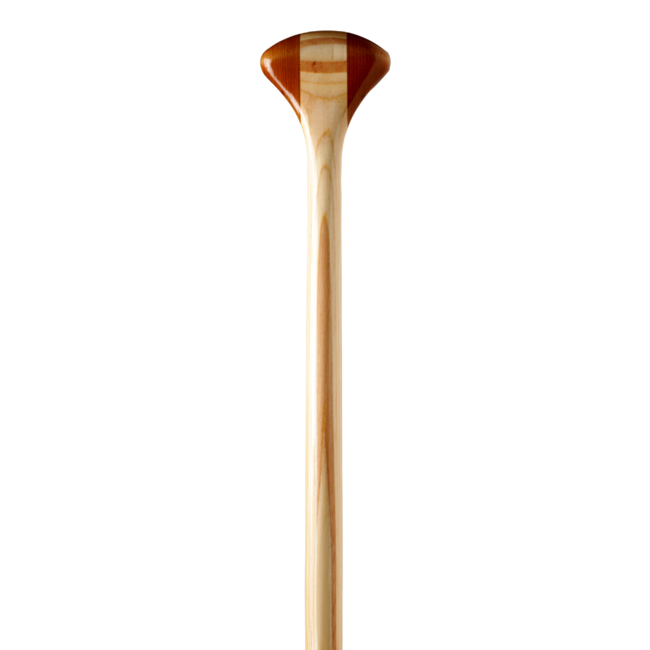 Bending Branches Nieuw! Explorer Plus