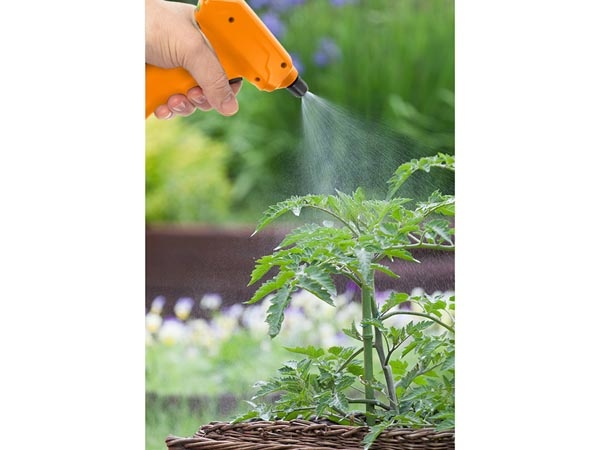 Toolland DTB10000 plantenspuit 1 liter met accu