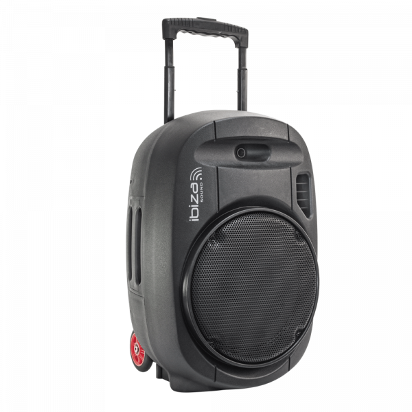 Ibiza PORT12UHF-MKII draagbaar geluidssysteem 700 Watt met accu en microfoons