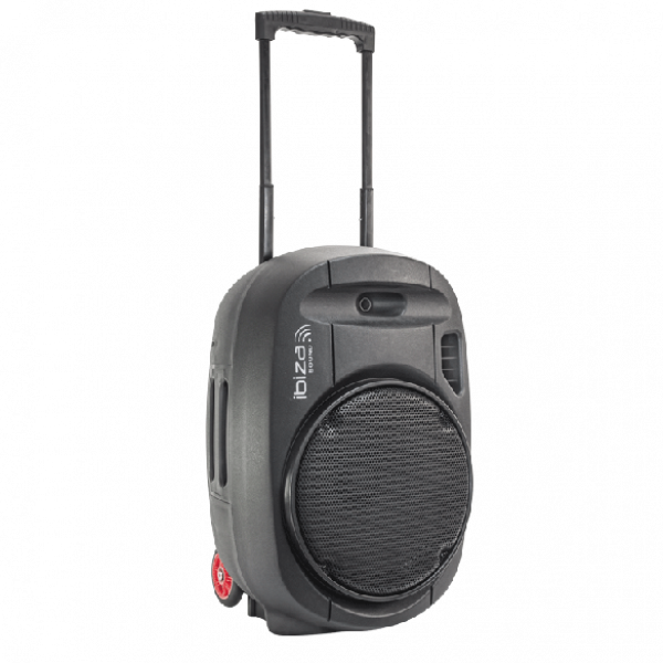 Ibiza PORT12UHF-MKII draagbaar geluidssysteem 700 Watt met accu en microfoons