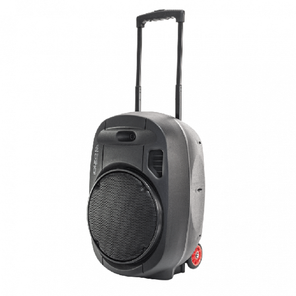 Ibiza PORT12UHF-MKII draagbaar geluidssysteem 700 Watt met accu en microfoons