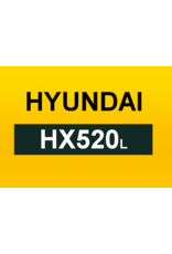 Echle Hartstahl GmbH FOPS pour Hyundai HX520L