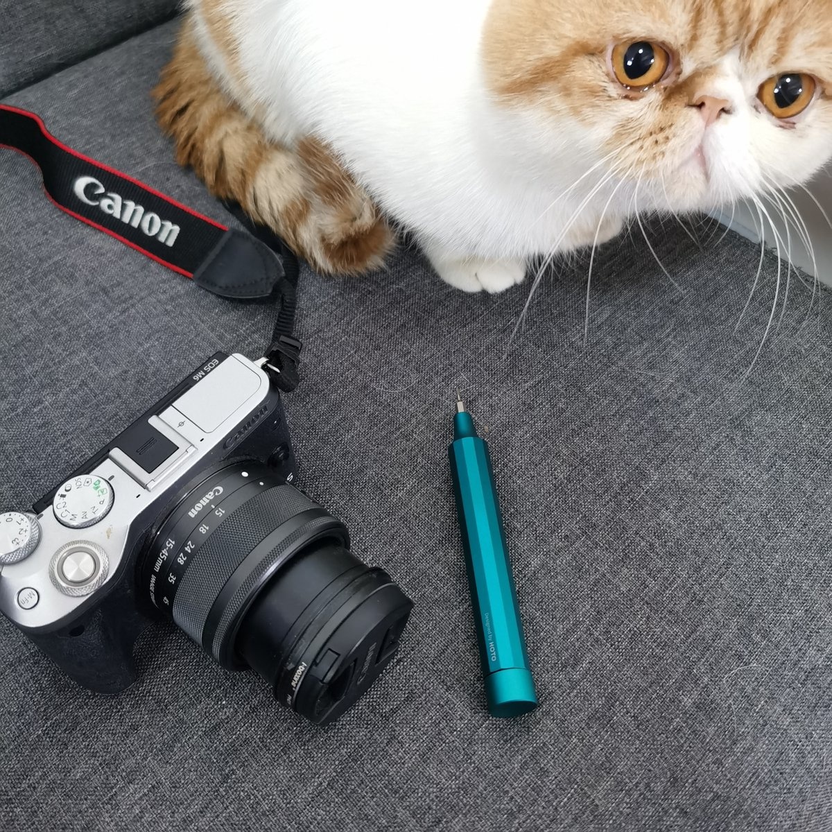 HOTO Precision Screwdriver Set – 24-in-1 Multi-Bit – for Phone/Glasses/Watch/Laptop – Turquoise