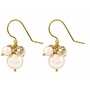 Ohrringe creme Swarovski Perle goldfarbig Kristall - vergoldet - ARLIZI 1352 - Marla