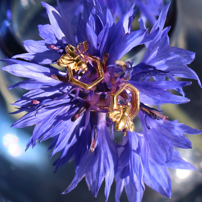 Earrings bee ear studs gold plated - ARLIZI 1753 - Fleury