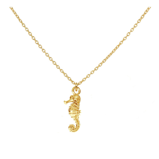 Ketting zeepaardje hanger verguld - 1967
