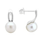 Ohrringe Weiß Süßwasserperle Ohrstecker - Sterling Silber - ARLIZI 2267 - Coraline