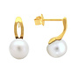Oorbellen wit zoetwaterparel oorsteker - verguld - ARLIZI 2269 - Coraline