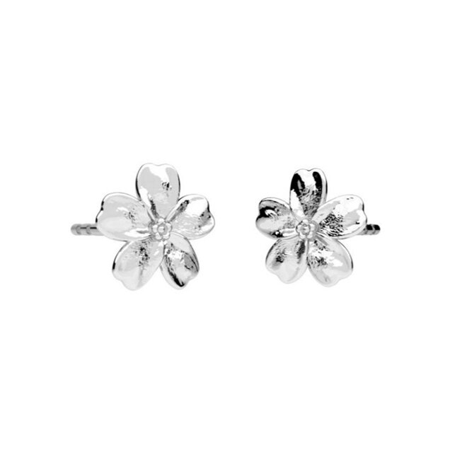 Earrings forget-me-not studs sterling silver - 2368