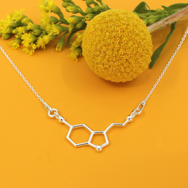 Ketting serotonine molecuul hanger - sterling zilver - ARLIZI 2477 - Kendal
