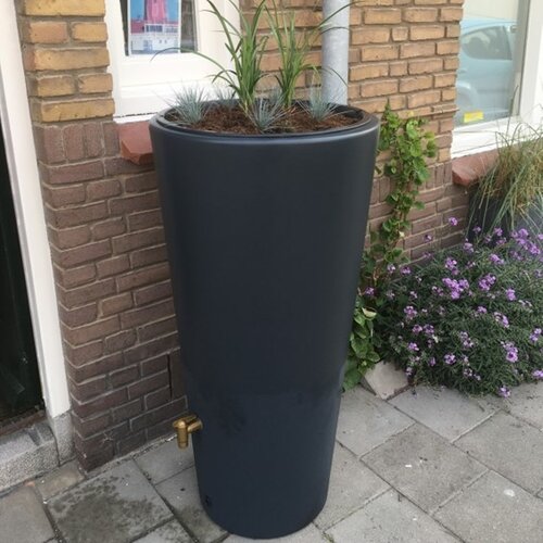 Aandachtspunten kopen regenton