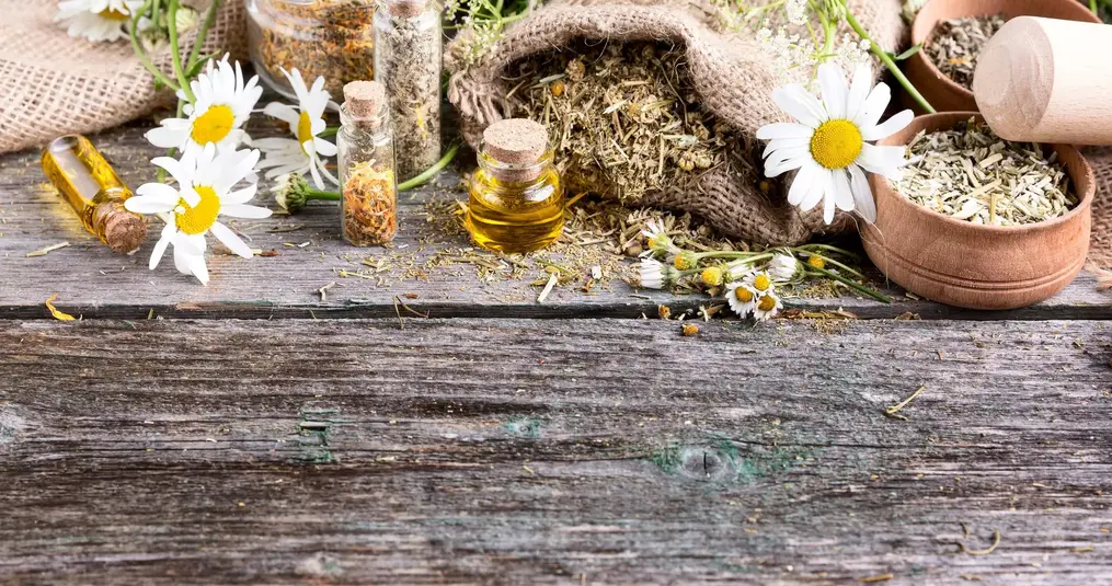Catuaba Extract in Natuurlijke Erectiepillen