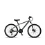 Altec Mirage 24 inch Mtb Hydraulische Rem 21v Metallic Silver