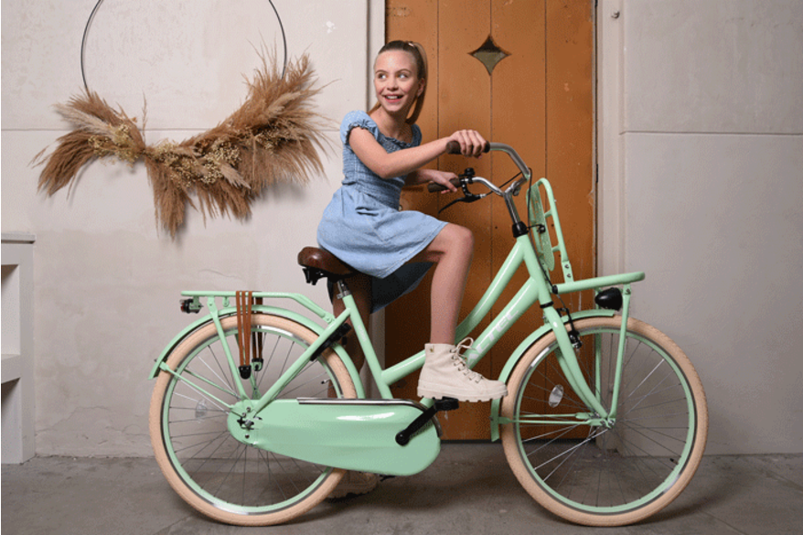 fietsen online kopen met Snelle verzending! - Bike