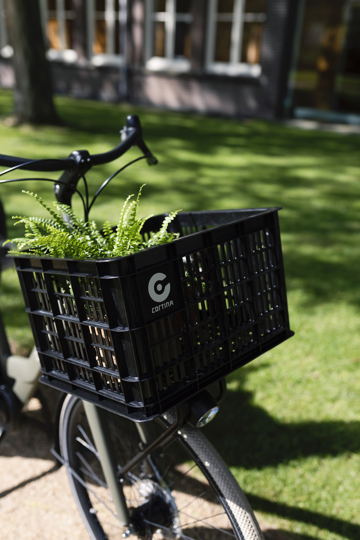 Cortina Common Family Moederfiets 28 inch Black Red Matt 7v - Ado Bike