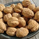 Junge Walnussbaum Juglans regia Bella Maria