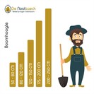 Young Walnut tree Juglans regia 'Komeet'