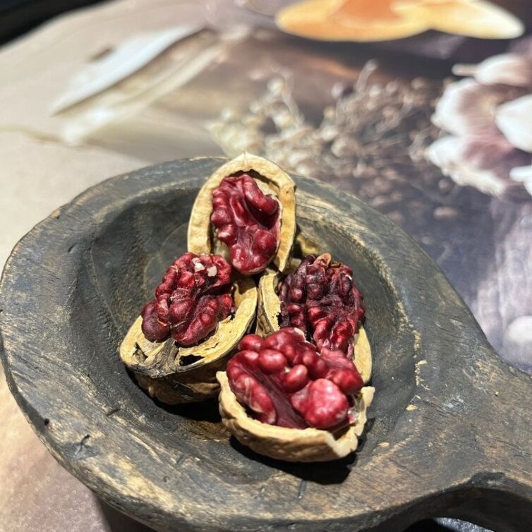 Walnut tree Juglans regia ‘Red Phantom’